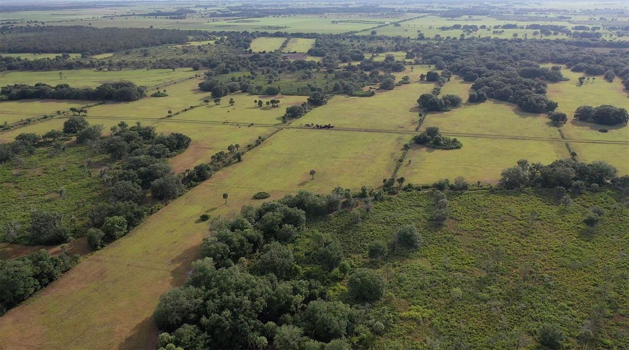 A Hunt Area
