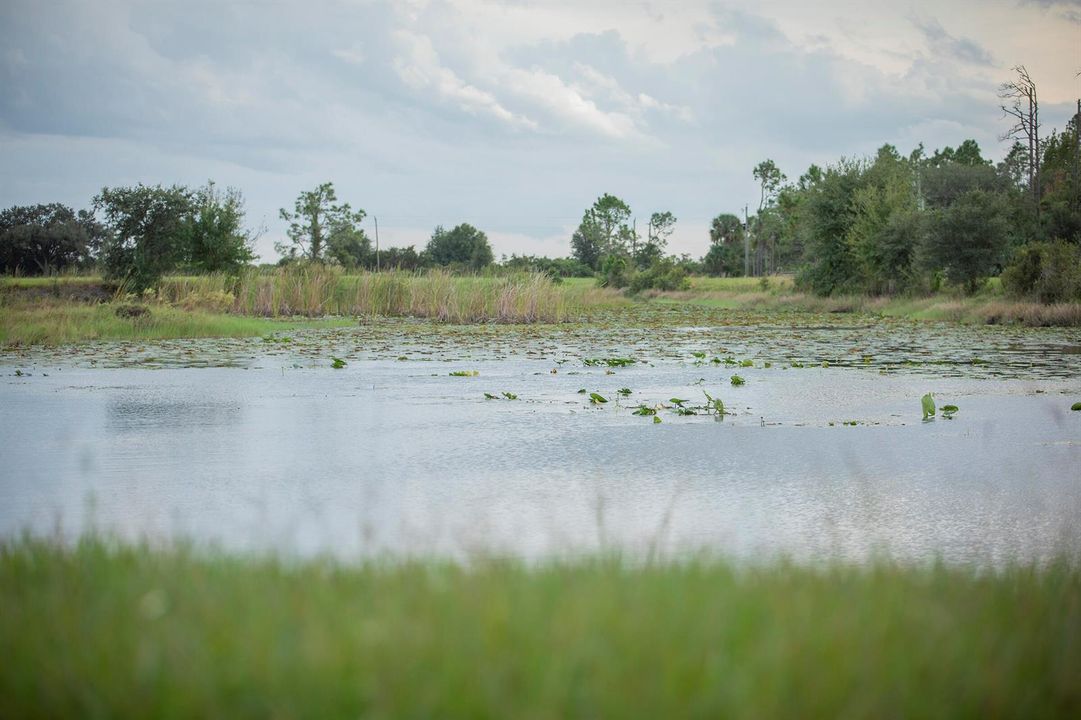 A Bass Lake