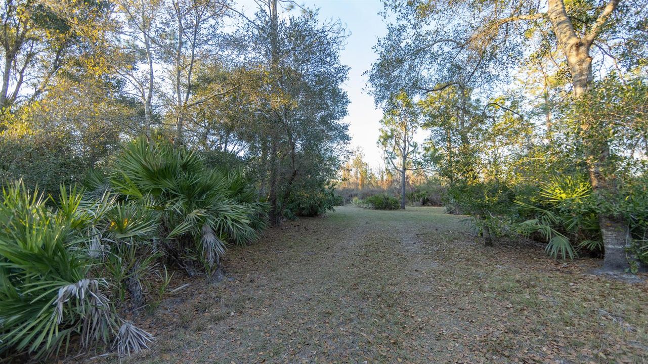 Lot 250 - 5