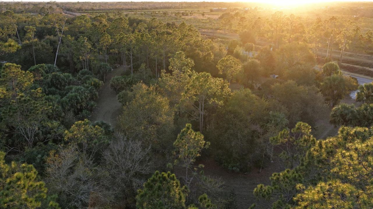 Lot 250 - Drone 4 copy