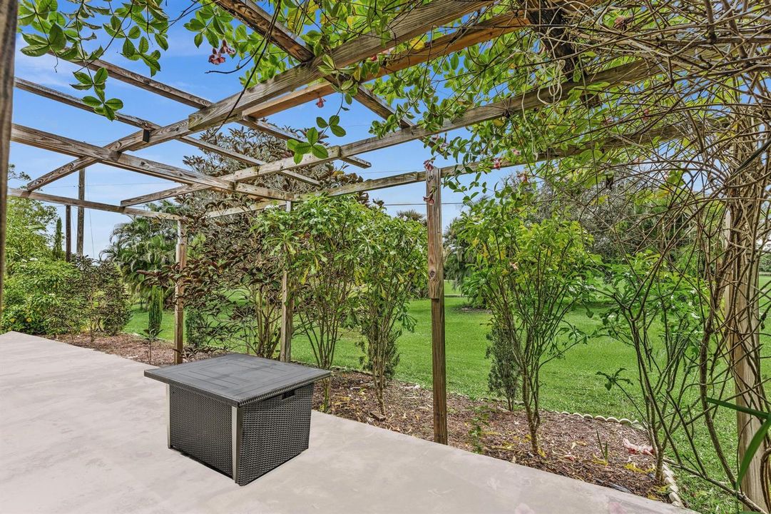 Back Patio
