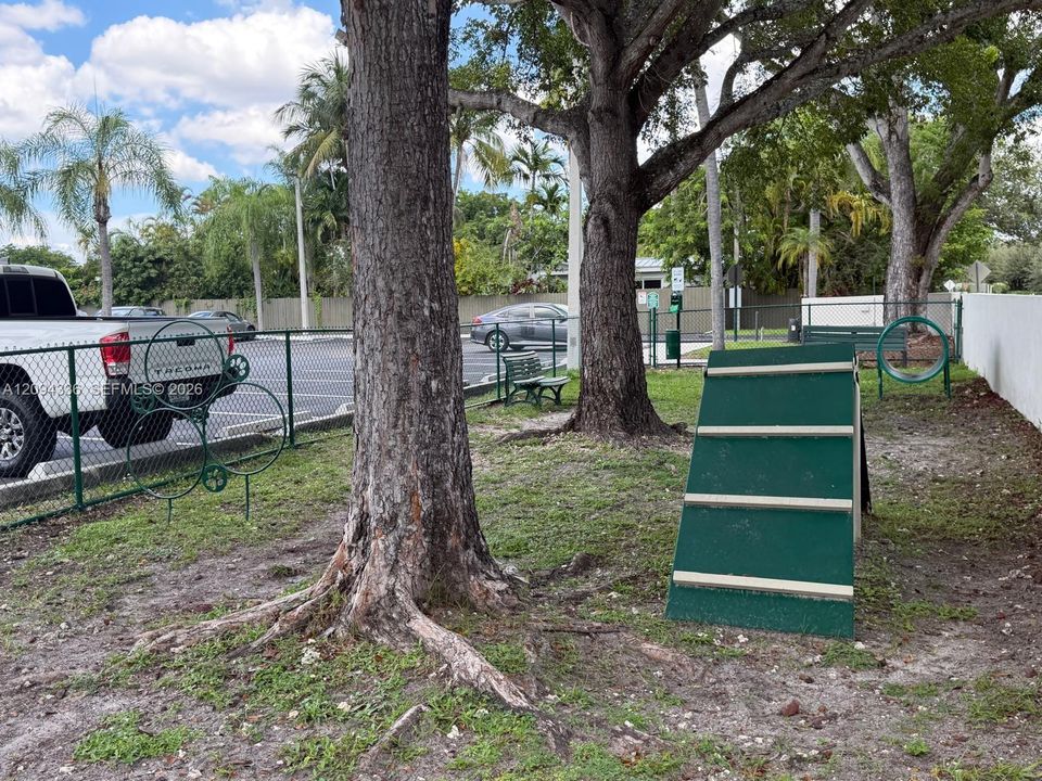 Dog Park