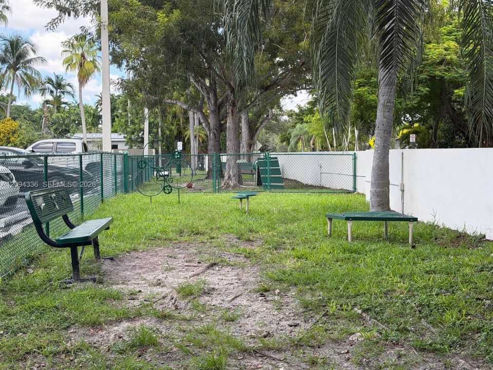 Dog Park