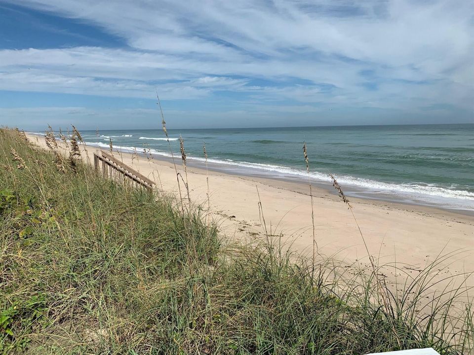 The beach