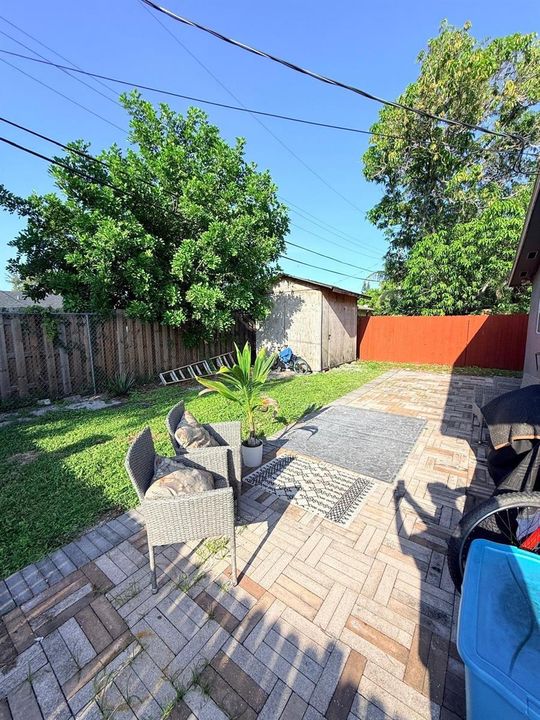 Backyard 1