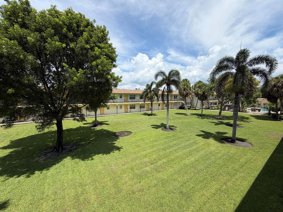 image00001 (10)