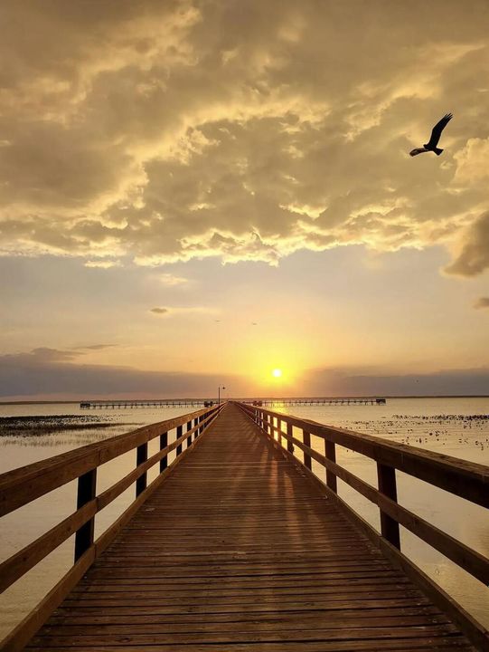 ILE PIER SUNSET