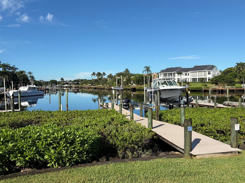 Trex Dock