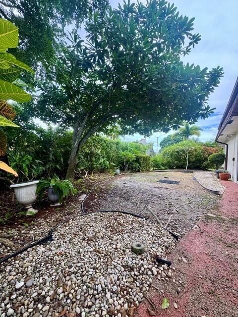 Side Yard