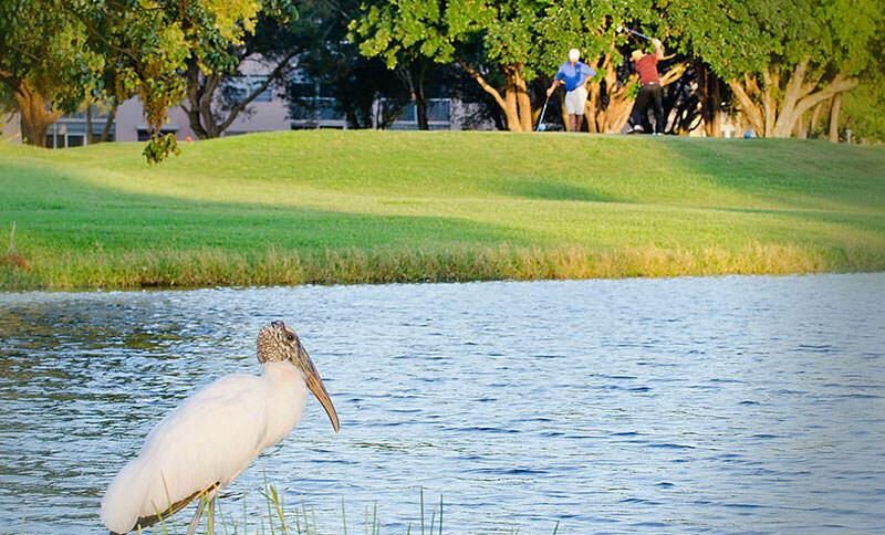 golf-course-5