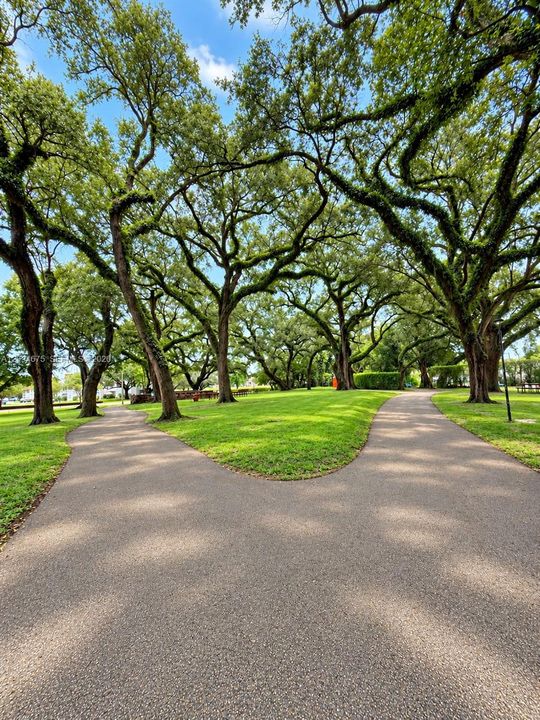 Walking Trails