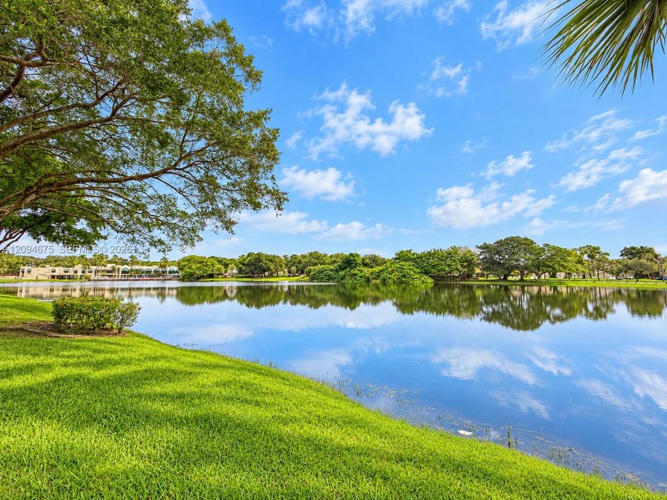Lake Views