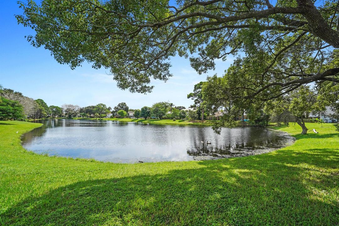 Lake View