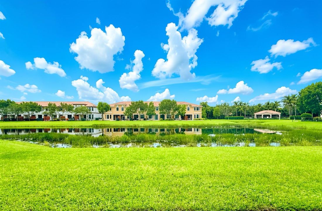 Backyard view