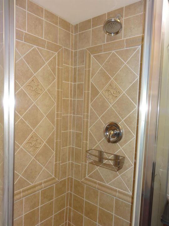 Master walk-in shower