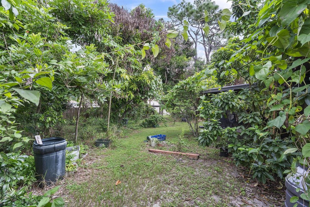 36-web-or-mls-DSC07911
