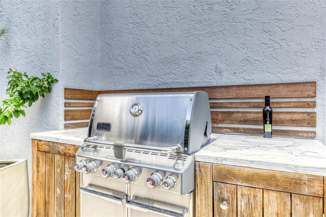 Outdoor BBQ Kitchen