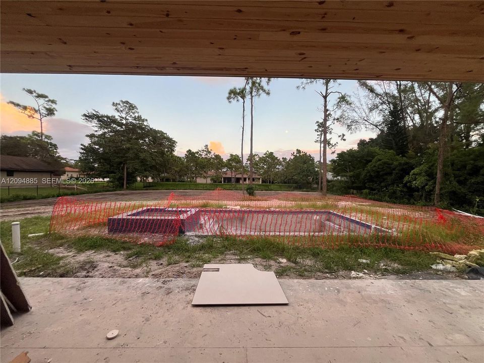 Back yard