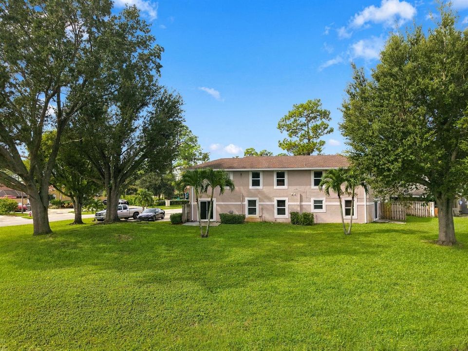 Large Backyard