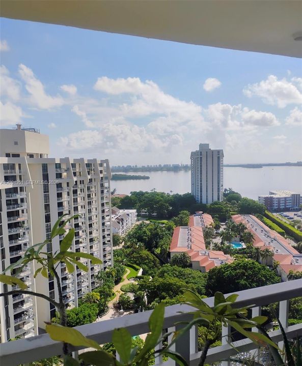 View from the balcony