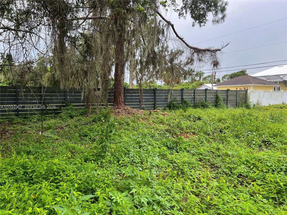 Interior view of the property showcasing the spacious homesite and mature trees.