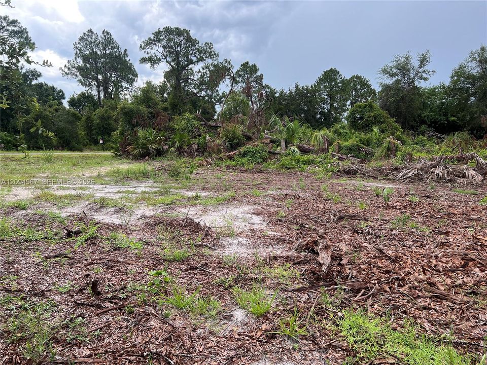 For Sale: $69,900 (1.00 acres)