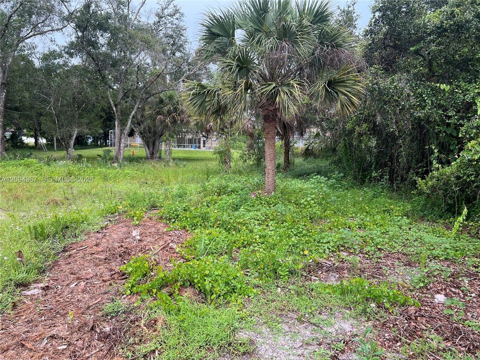 For Sale: $69,900 (1.00 acres)