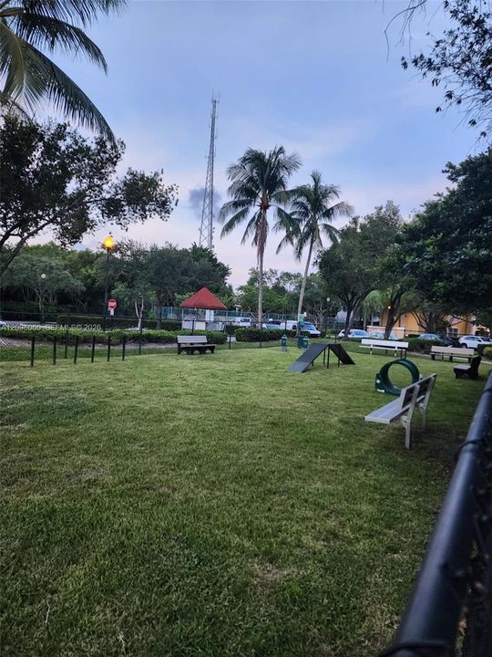 Dog Park