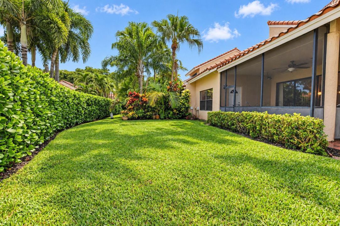 Backyard and side yard