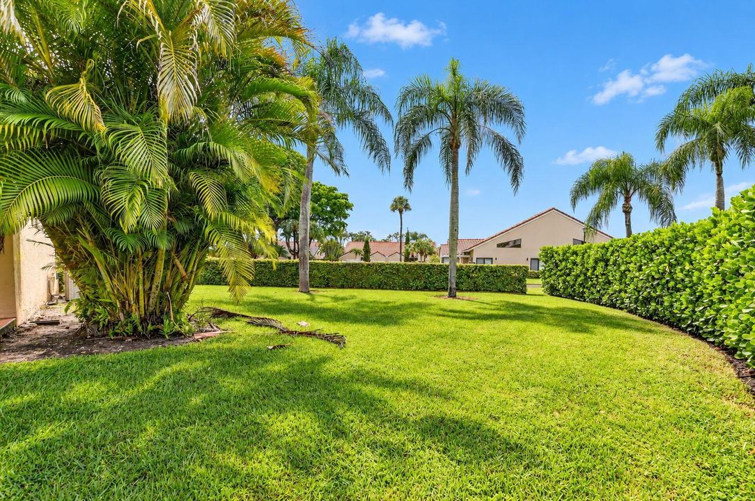 Back yard and side yard