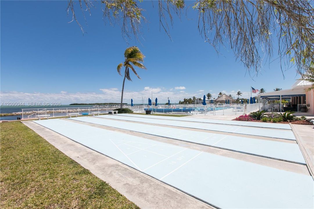 Shuffleboard Court