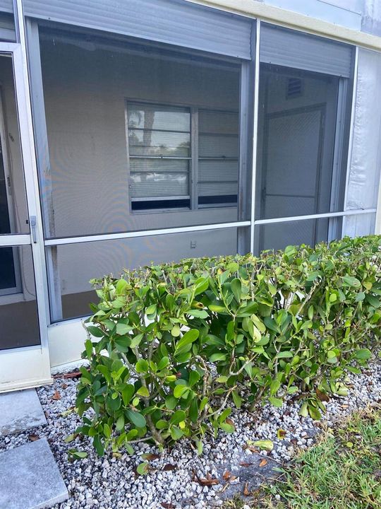 PATIO1