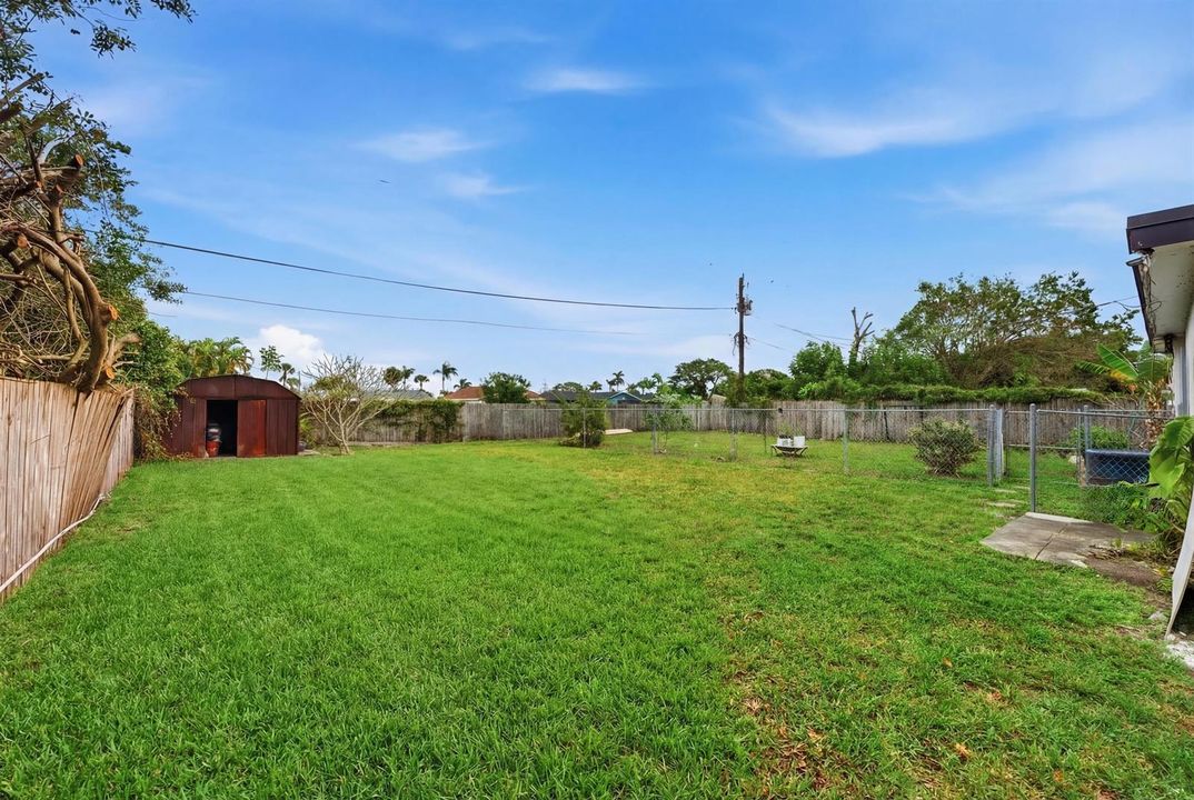 Backyard