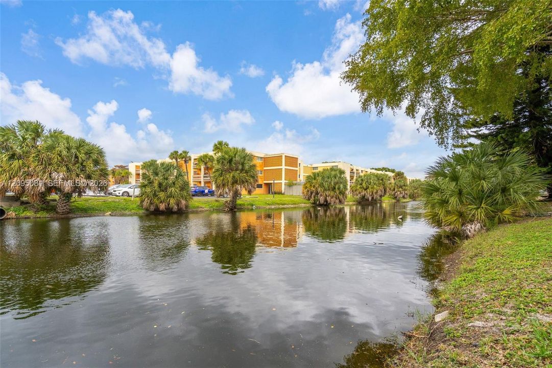 For Rent: $1,800 (2 beds, 2 baths, 980 Square Feet)