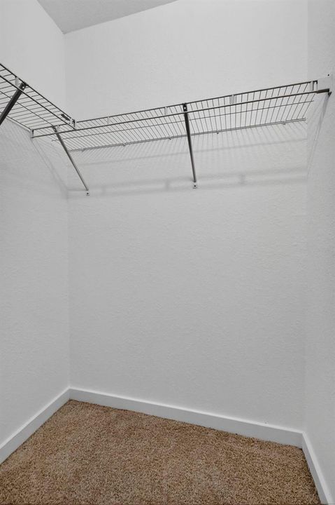 23-web-or-mls-8H3A2699