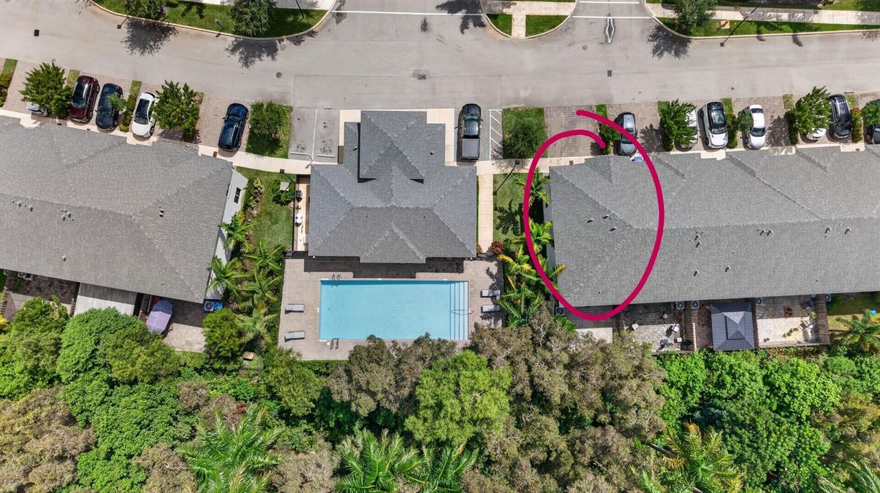 5-web-or-mls-8H3A2582