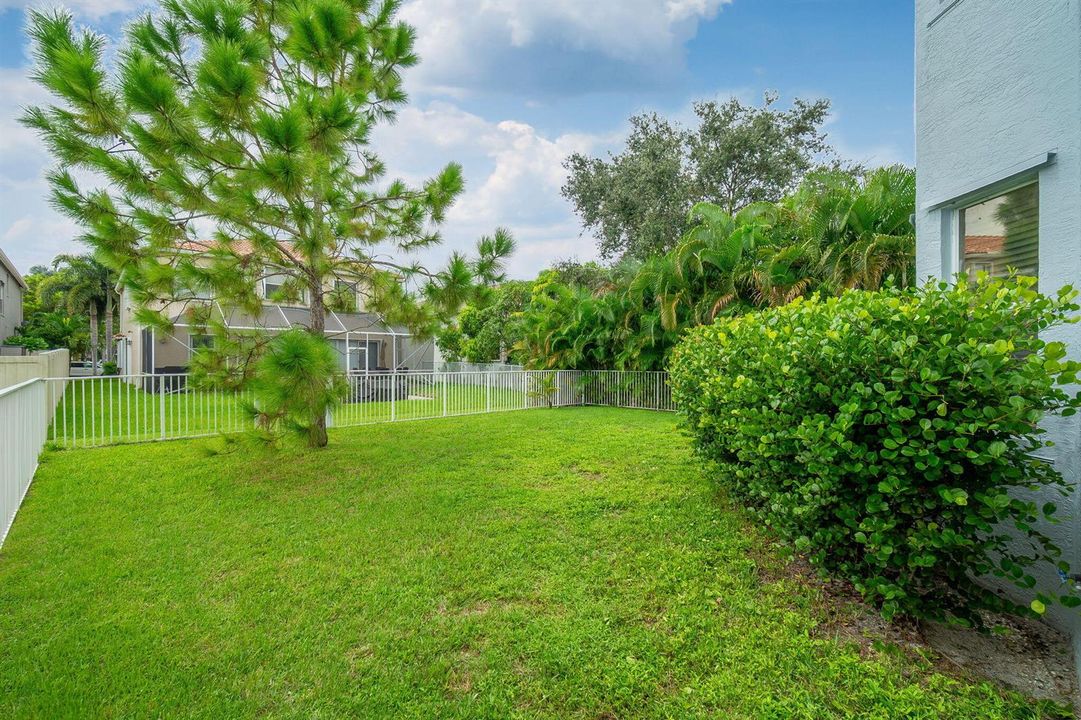 Fenced yard