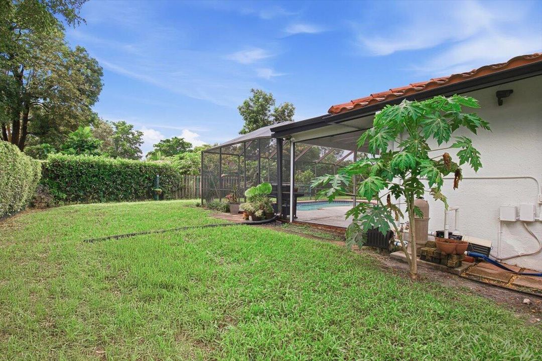 13-Backyard-G