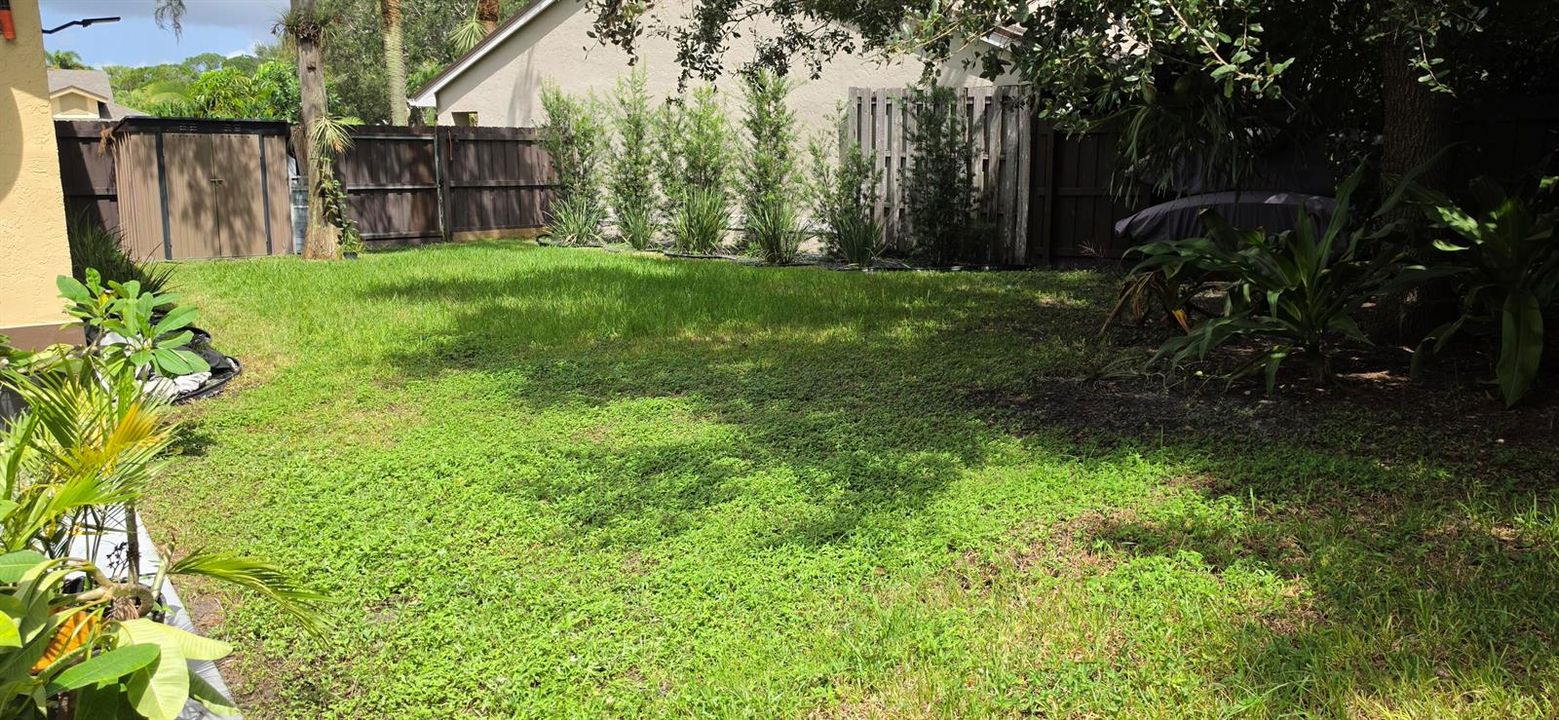 Side Yard