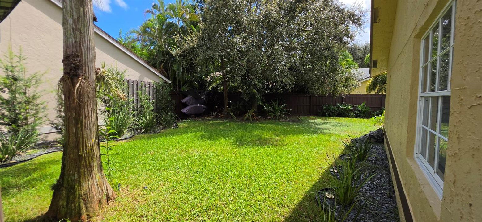 Side Yard