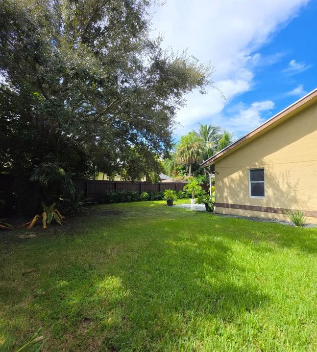 Side Yard