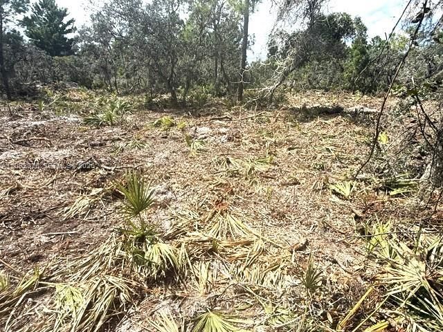 En Venta: $15,000 (0.23 acres)