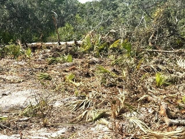 En Venta: $15,000 (0.23 acres)