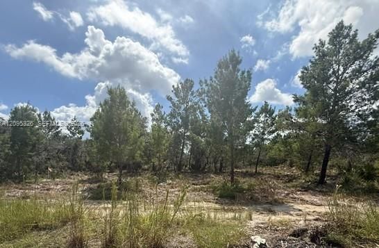 En Venta: $15,000 (0.23 acres)