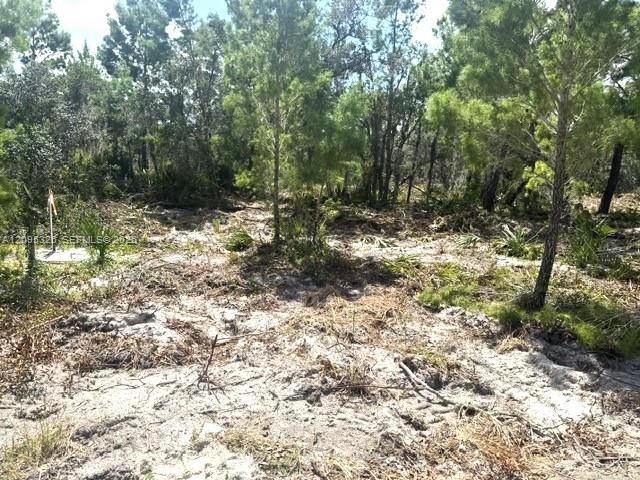 En Venta: $15,000 (0.23 acres)