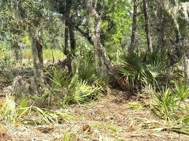 En Venta: $15,000 (0.23 acres)