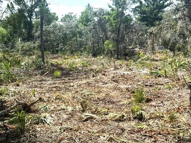 En Venta: $15,000 (0.23 acres)