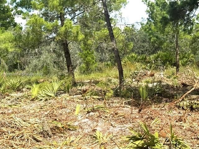 En Venta: $15,000 (0.23 acres)