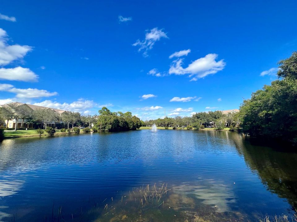 Lake 1