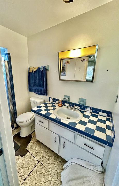 Master Bath